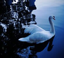 In Stillness Lies My Soul's Repose by Anne McGinn