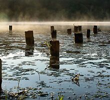 Sesqui Fog by Intheraine