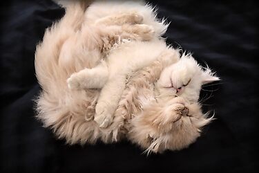 Love, Hugs and lots of Warm Fuzzies by micklyn