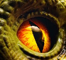 dinosaur eye images