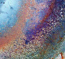 lucid by richman