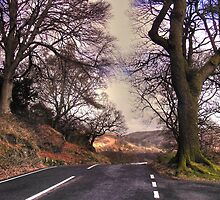 The road less travelled by Browneyedgirl78