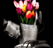 Garden Tools by Jeffrey Sinnock