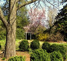 Double Cabins Plantation Gardens by EclecticImages