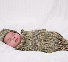 Pea in a Pod by Misti Love