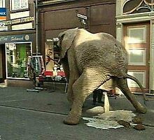 GOP Loosing It by kmflowe