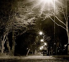 Starlit Path by Richard Pitman
