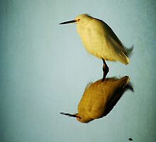 In the Stillness of the Morning... by Jonicool