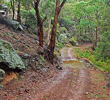 A Road Less Travelled by Terry Everson