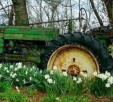 Old John Deere and Daffodils by Peggy Berger