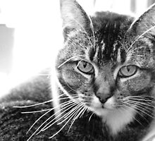 Mia - Black and White portrait by Sophie MacLeod