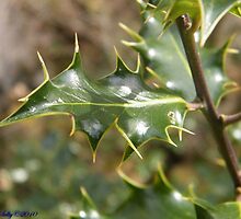 A Holly Good Time by Kathy Selby