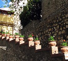 Stepping Flower Pots by jules572