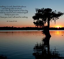 Let nothing, O Lord, disturb the silence . . . by Bonnie T. Barry