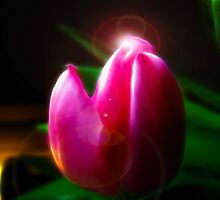 Our Love Shines Through Even in our Darkest Hours... by Julie Everhart