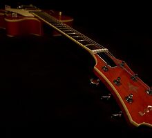 Guitar - Aria Bigsby Licensed by espanek