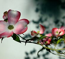 Heaven Sent by Ainsley Kellar Creations