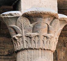 Lotus flower column by rhallam