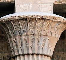papyrus column by rhallam