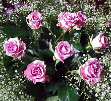 Baby's Breath and Roses by jules572