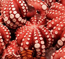 Fish Market, Tokyo Japan by Brad Starks
