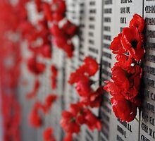 Poppy 6 by stellaclay by stellaclay