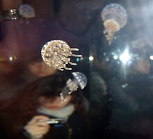 Camera obscura by pAgEdOwN