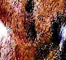 Look me in the eye. by David M Scott