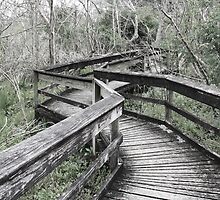 Neglected, Dilapidated Boardwalk by csproductions