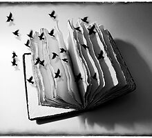 Knowledge of Freedom by VigStudio