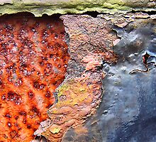 Oxidized infection by hardhhhat
