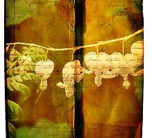 Spring .. Chapter and Verse by Nick Kenrick Photography