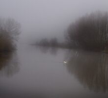 The Lonely Swan by Jonathan Fletcher