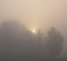 dawn - constitution hill by uncleblack
