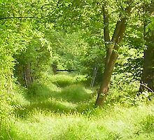 the ride - wolves wood by uncleblack
