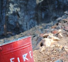 Fire? by Stephie Dickson