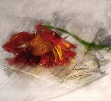 Now I Lay Me Down To Sleep by CarolM