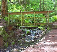 Wooden Bridge Over Mountain Stream by Stacey Lynn Payne