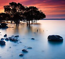 Sunset at Tenby Point by Jason Green
