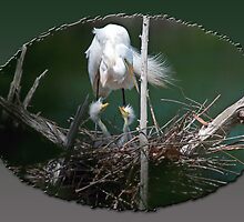 Will we survive this storm, Mama? by Bonnie T. Barry