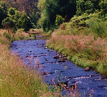 Gently Flows the Stream by Michael John