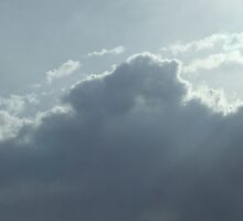 Storm Approaching by Isabelle Hare