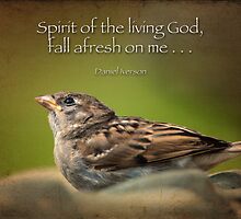 Spirit of the living God, fall afresh on me . . . by Bonnie T. Barry