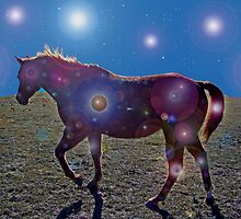Monte's Magical Night by Linda Woods