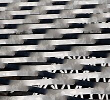 Contrast by Judith Cahill