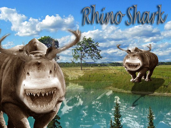 Rhino Shark