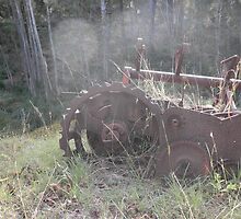 Old and rust by gracielue