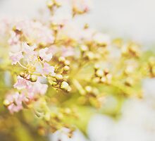 A beautiful world by Julia Goss