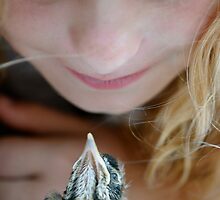 Here's Lookin' At You, Kid! by Ainsley Kellar Creations