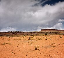 A Sere and Lonely Land by TWindDancer